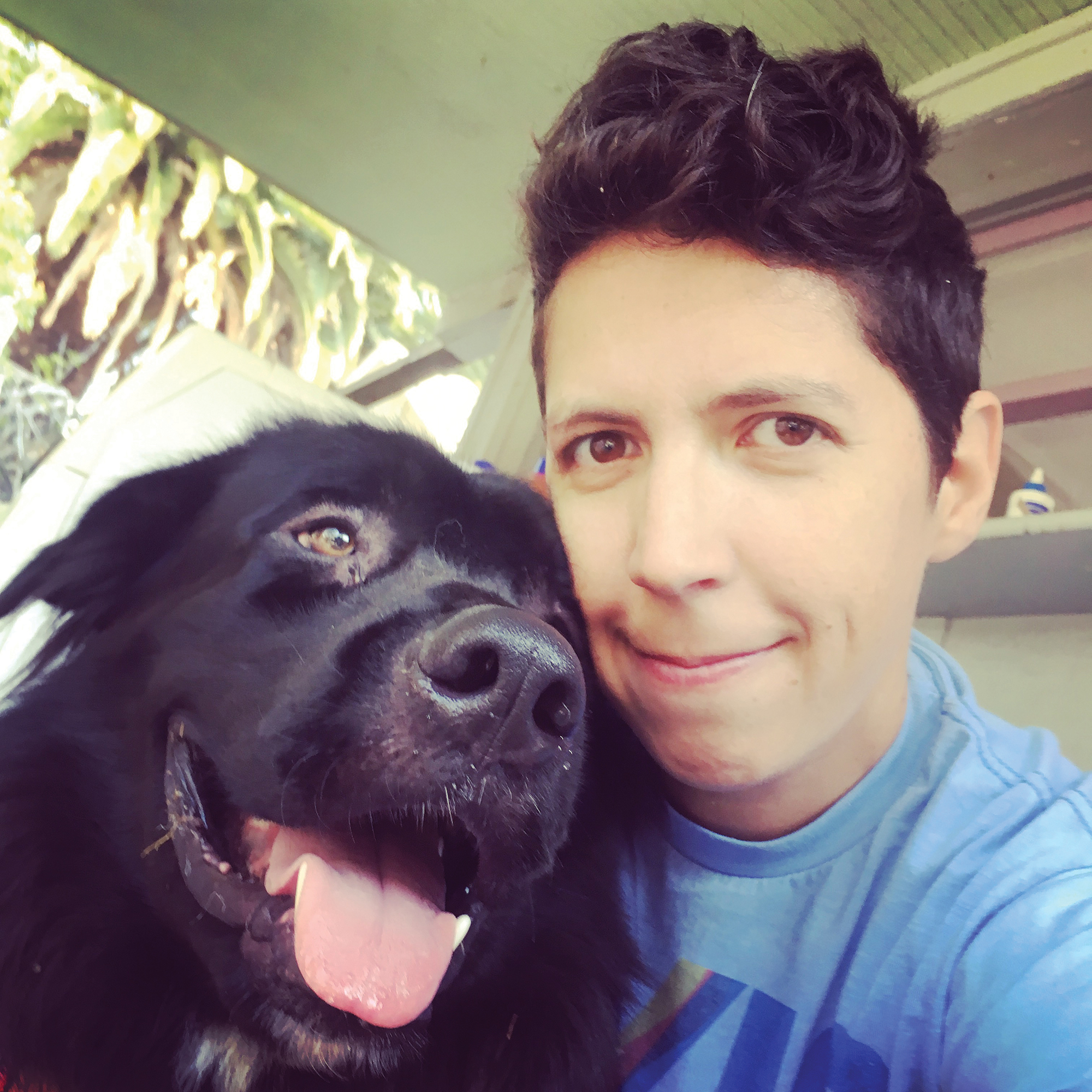 A photo shows a headshot of psychologist Simine Vazire with a black dog.