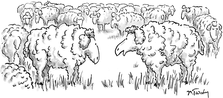 A comic shows a field of sheep all with a similar appearance due to their body shape and fluffy wool.