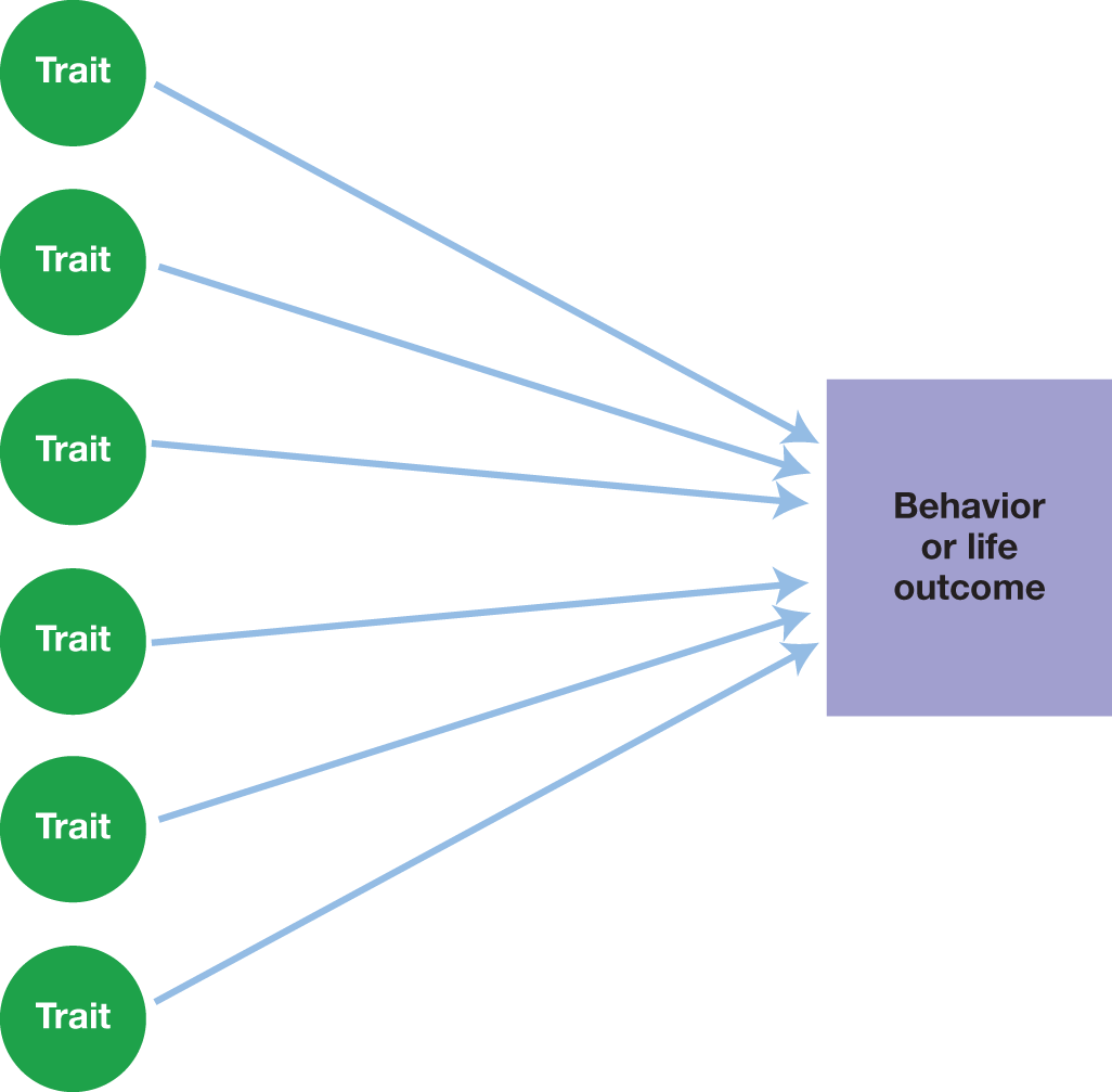 A diagram depicts how traits lead to a single behavior or life outcome.