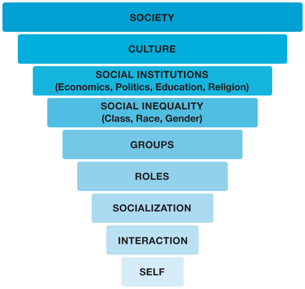 Levels of Analysis: Micro- and Macrosociology