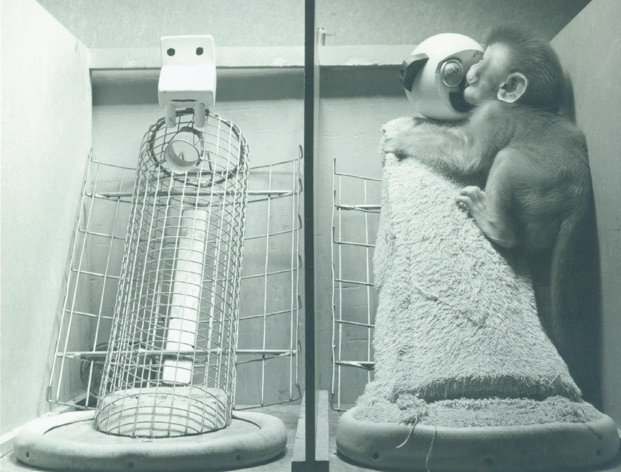 Figure 1.4 is titled, The contact comfort theory.