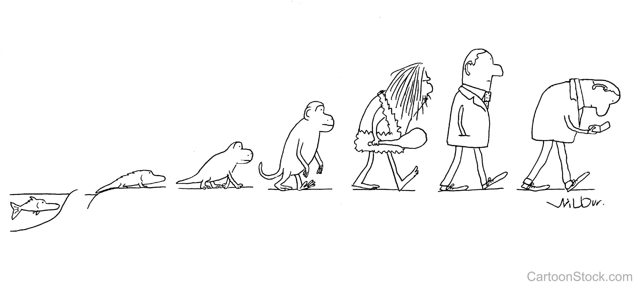 A cartoon sketch depicts the evolution of man.