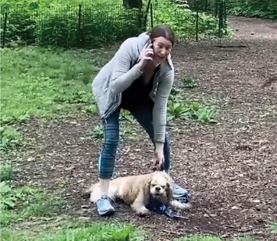 Amy Cooper stands in a park with her dog and speaks on a mobile phone.