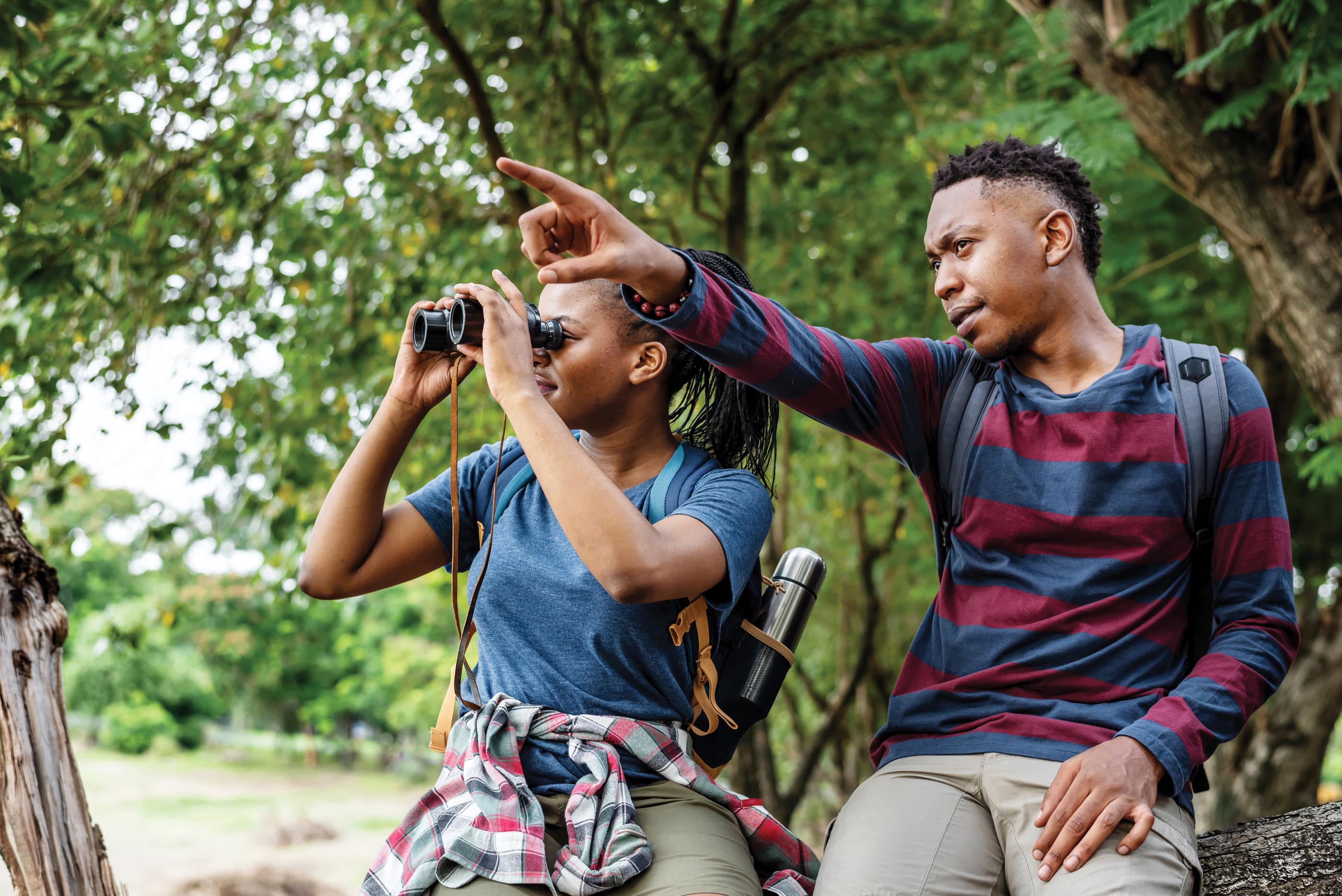 Two bird watchers in a park. One of them views through a pair of binoculars.