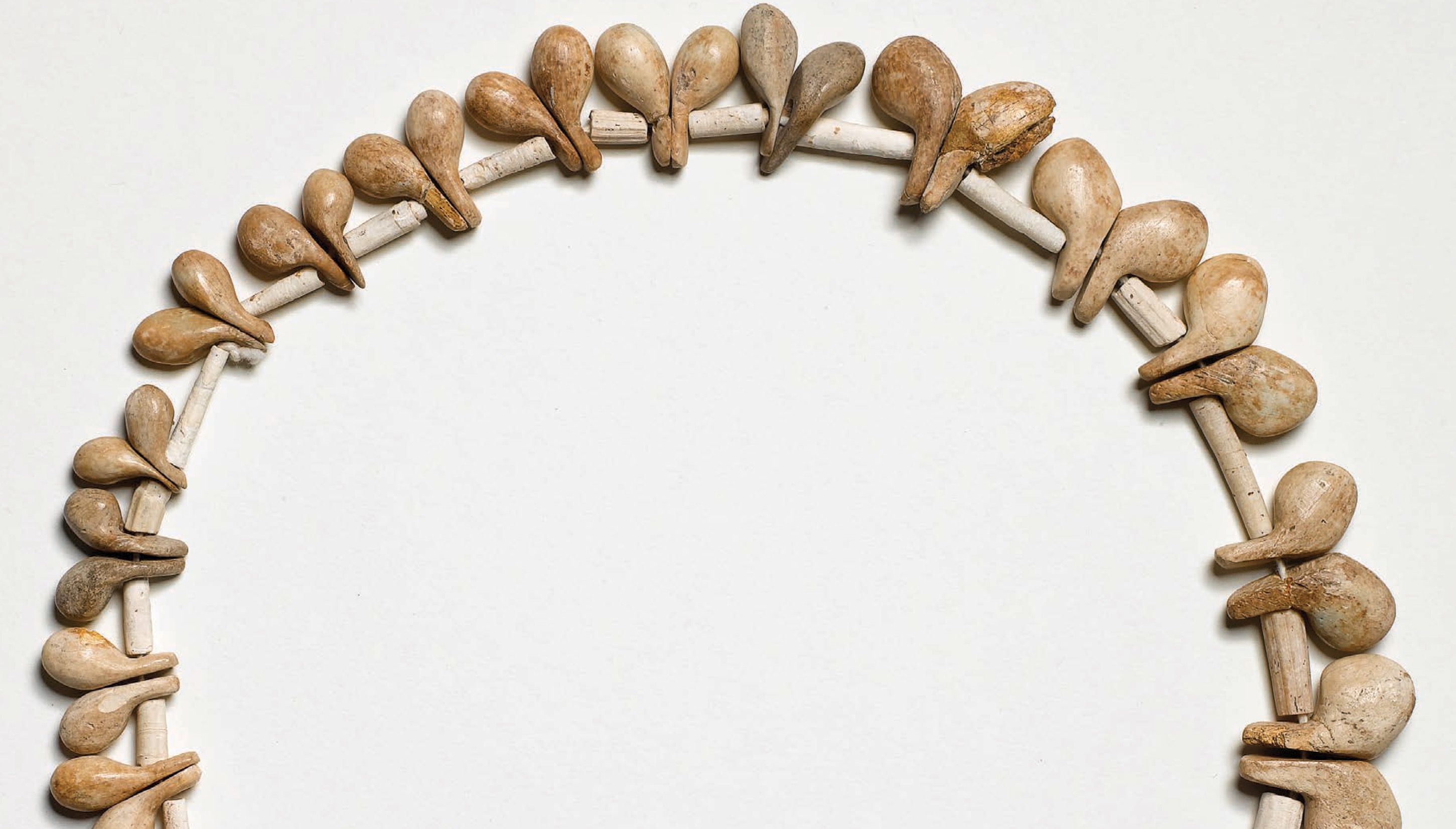 A photo shows a necklace made of shells and bones, with a repetitive pattern of a pair of shells.