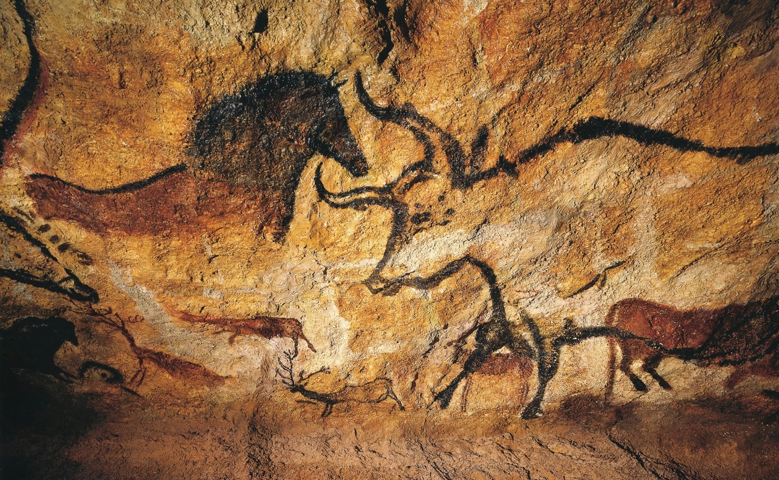 A photo shows a cave painting of bulls, horses, and deer on the caves of Lascaux.