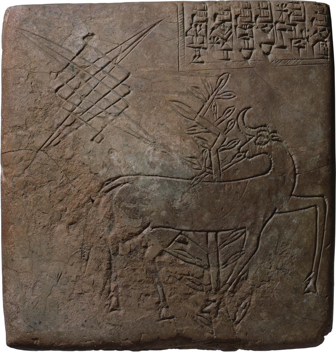 A Sumerian clay tablet features an engraving of a goat feeding on a plant.