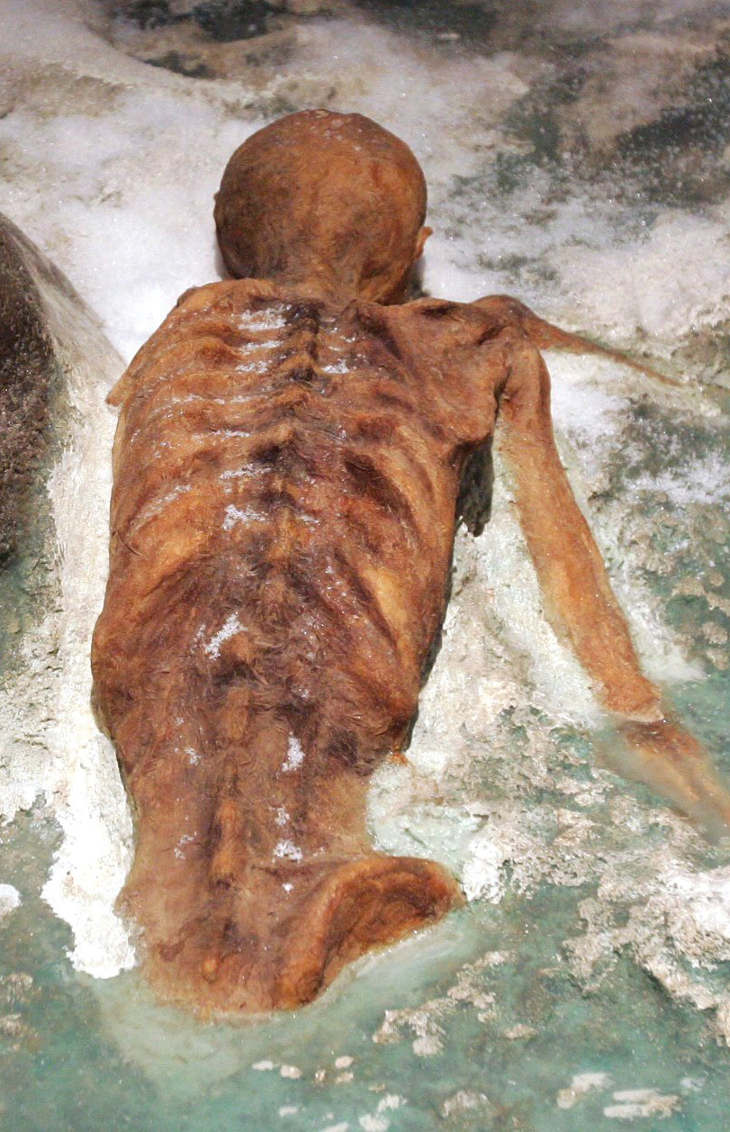 A photo shows a recreation of the partially frozen corpse of Ötzi the Iceman.