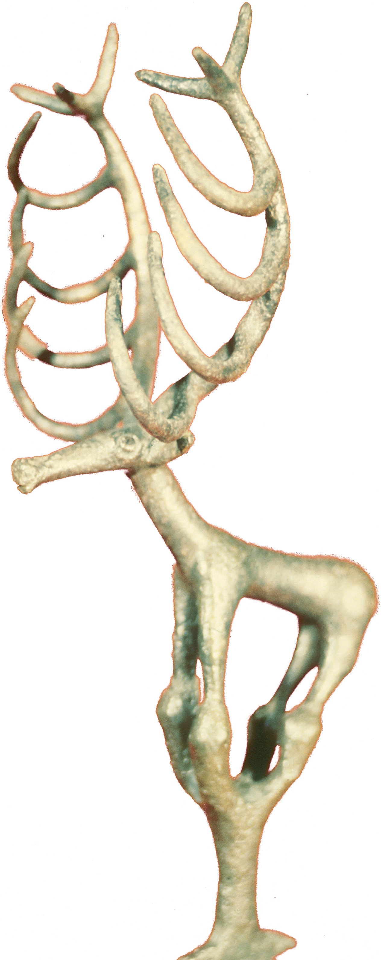 A gold statuette of a stag with large antlers, standing on what appears to be four branches of a stem.
