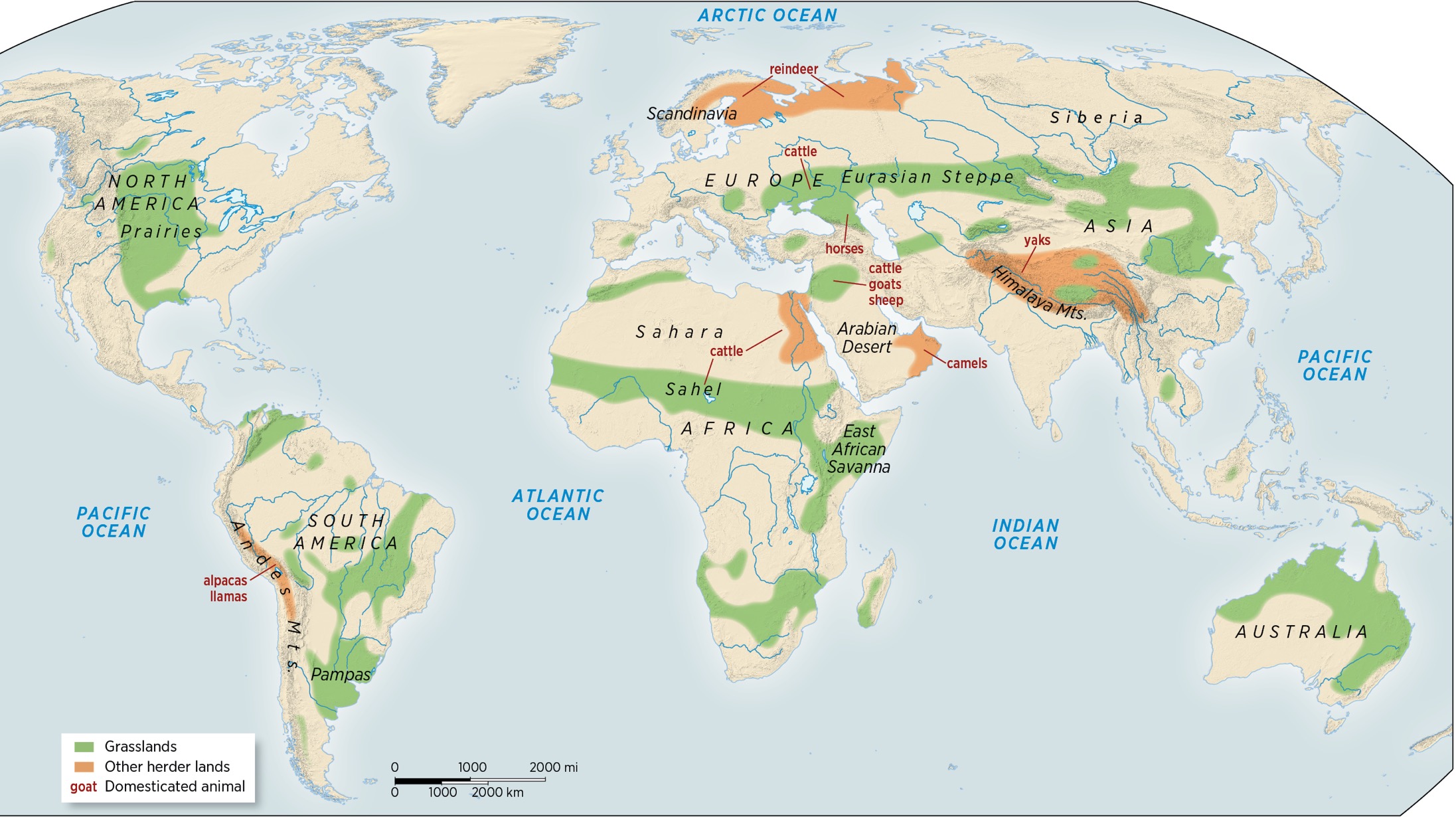 A map shows the spread of grasslands and pastoralist lands across various continents, circa 5000 to 1500 BCE.