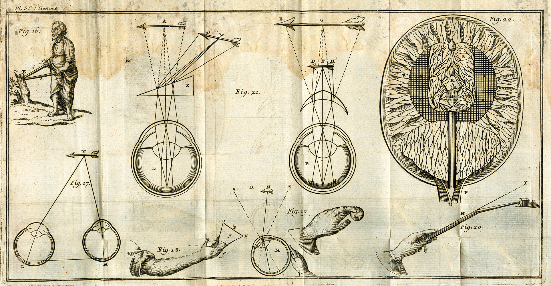 An illustration of Descartes to show the optical properties of human eye.