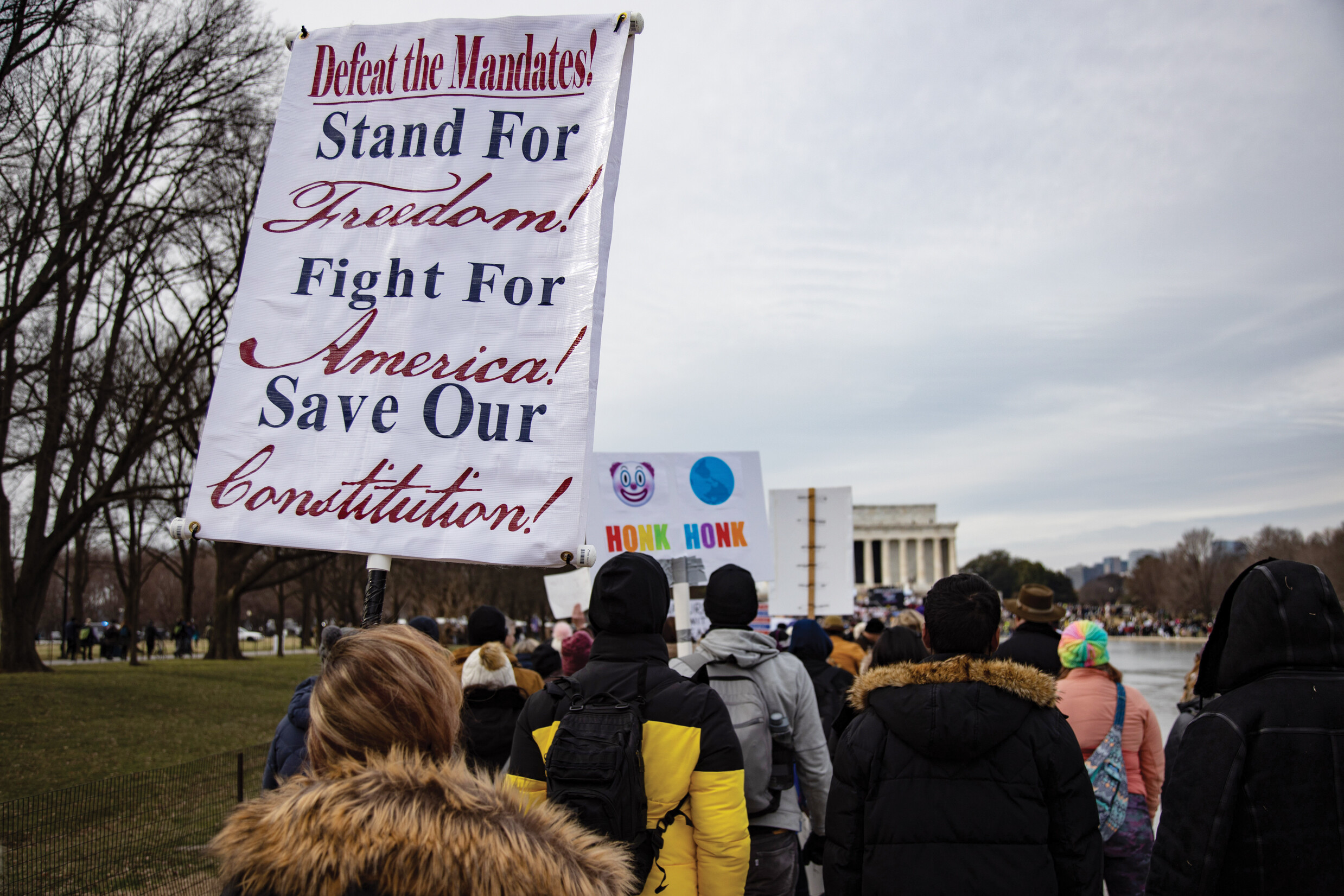 Protesters gather in the Washington Mall to oppose government anti-Covid measures.