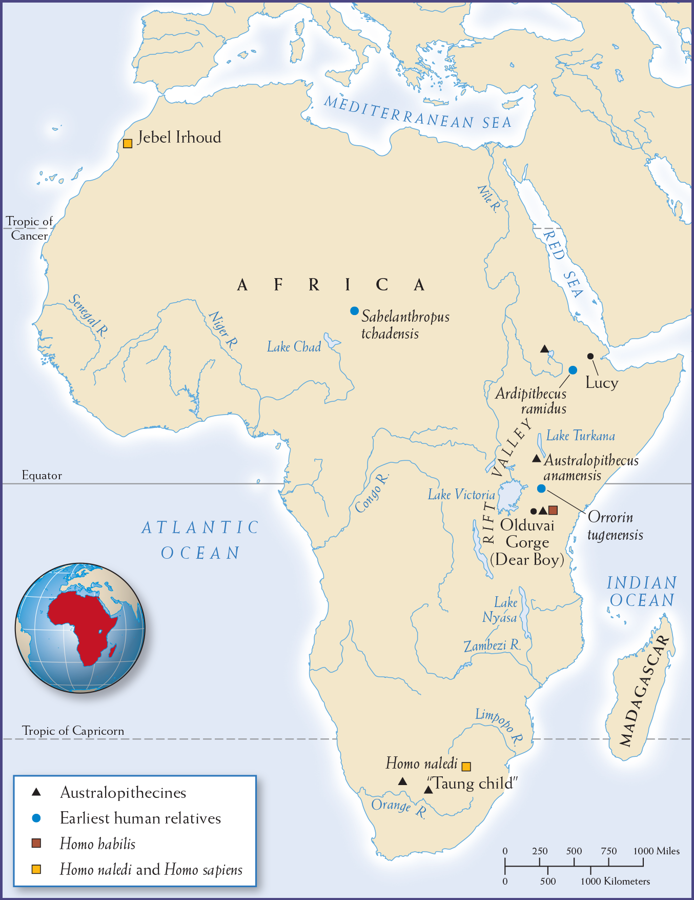 Map 1.1 is titled, “Early Hominins” and displays four hominin groups concentrated in Africa.