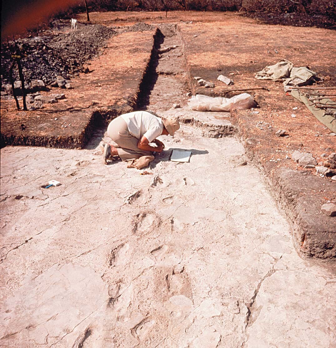 An archeologist examining footprints imprinted on the ground in Laetoli, Tanzania.