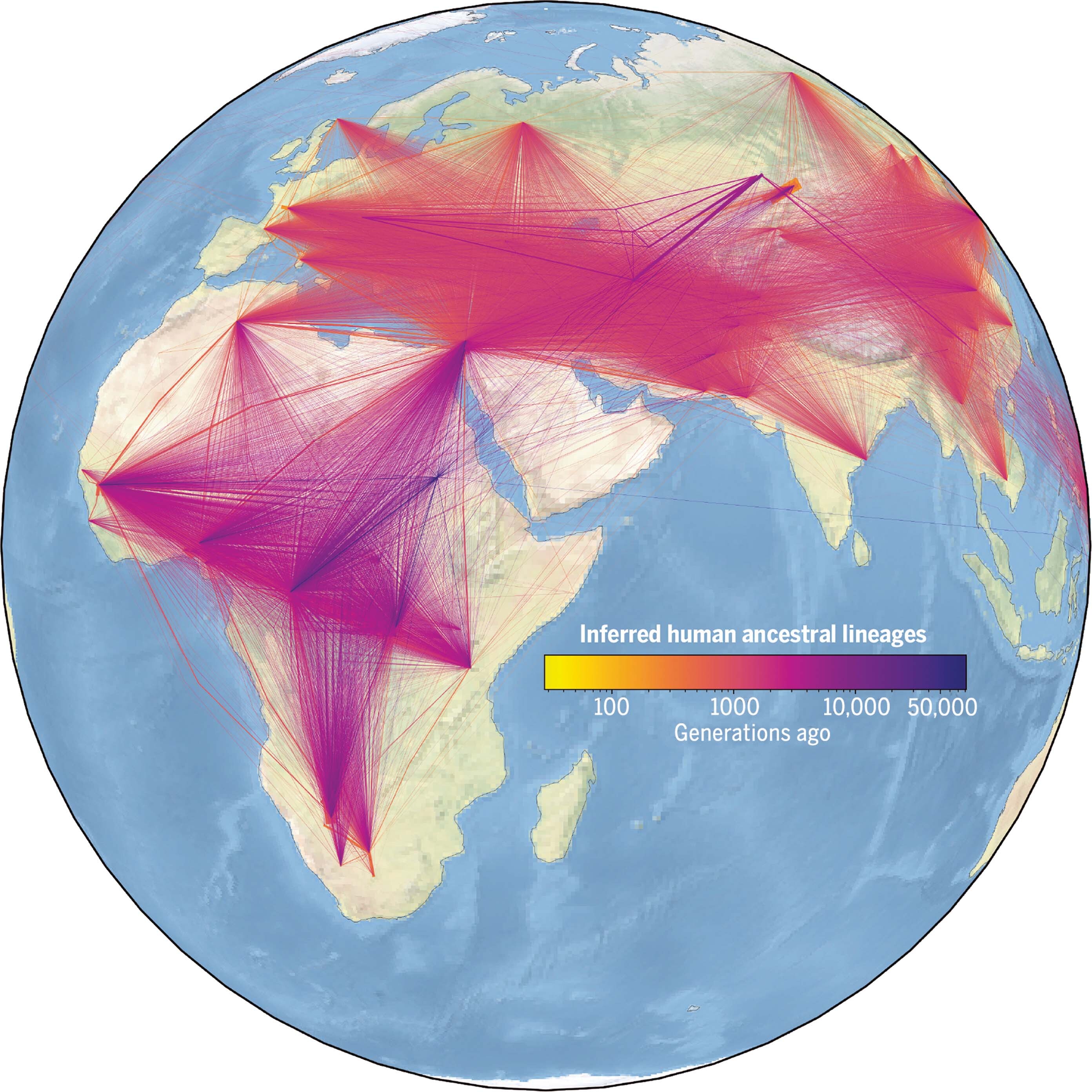 An illustration of the globe with numerous lines representing ancestor-descendant relationships.