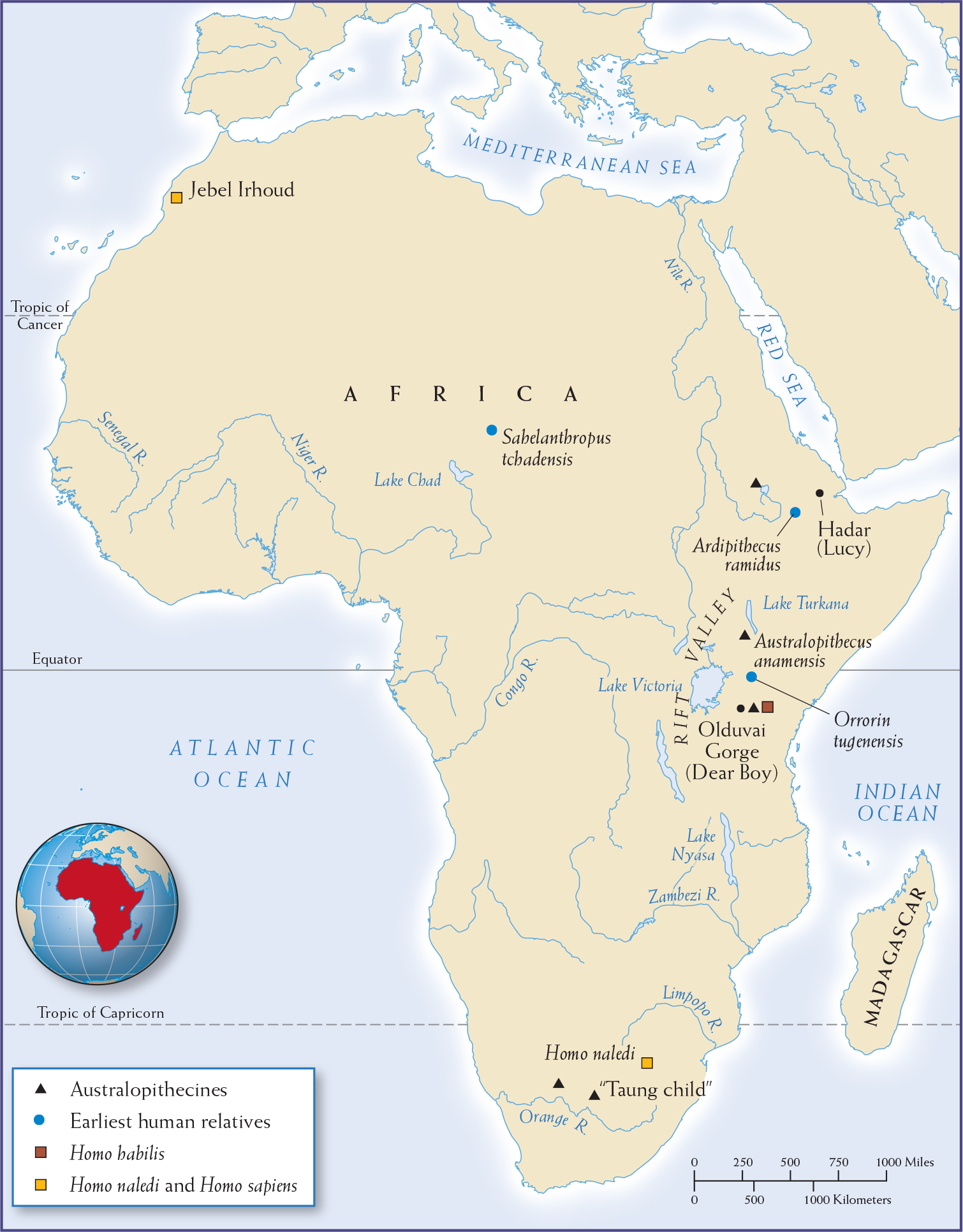 Map 1.1 is titled, “Early Hominins” and displays four hominin groups concentrated in Africa.