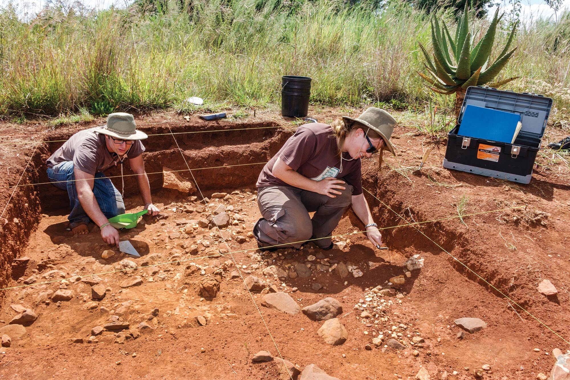 Two archeologists digging at the Cradle of Humankind World Heritage Site.