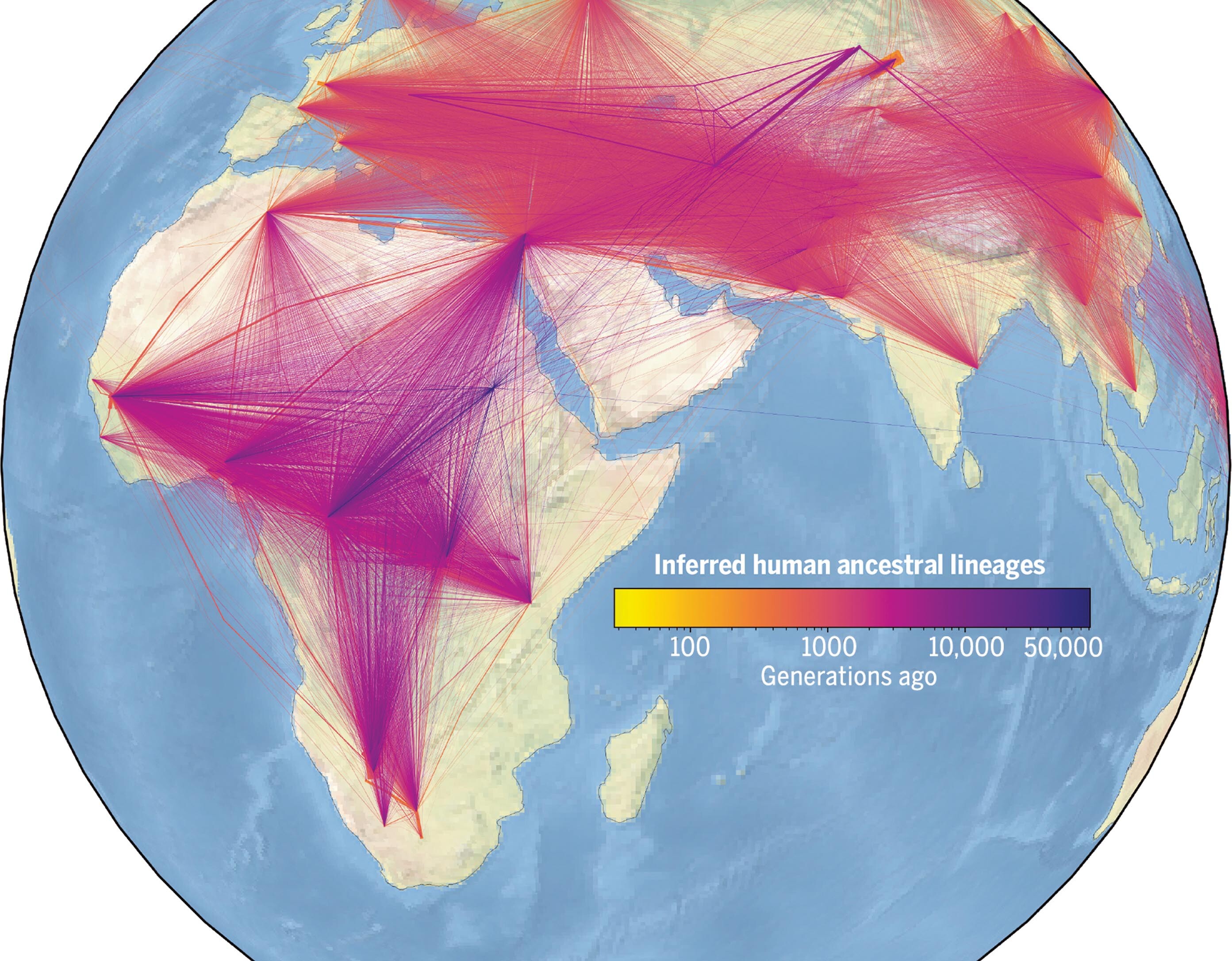 An illustration of the globe with numerous lines representing ancestor-descendant relationships.