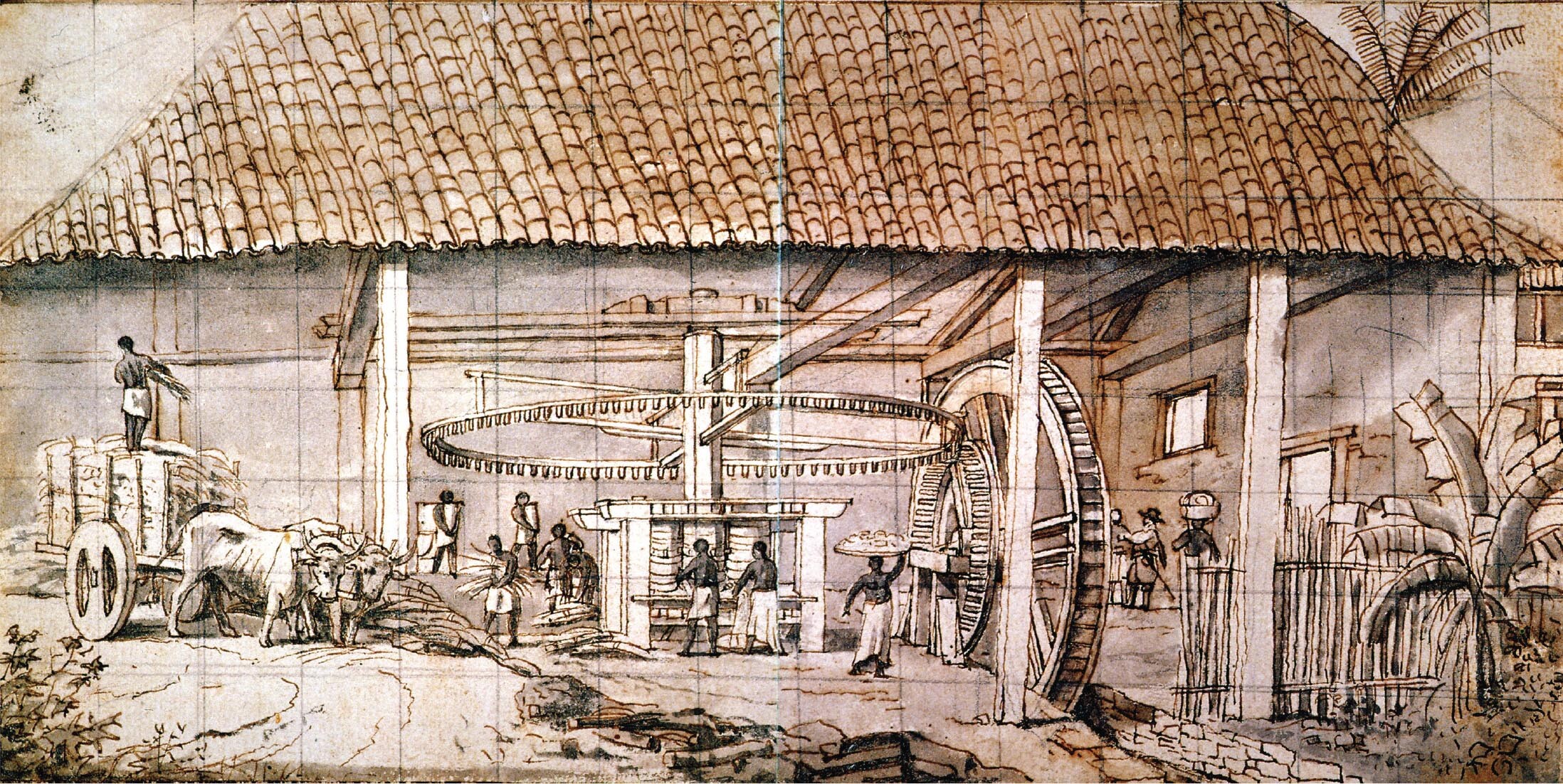 A drawing shows a sugar mill with enslaved Africans working in it depicting the nature of the sugar production process.