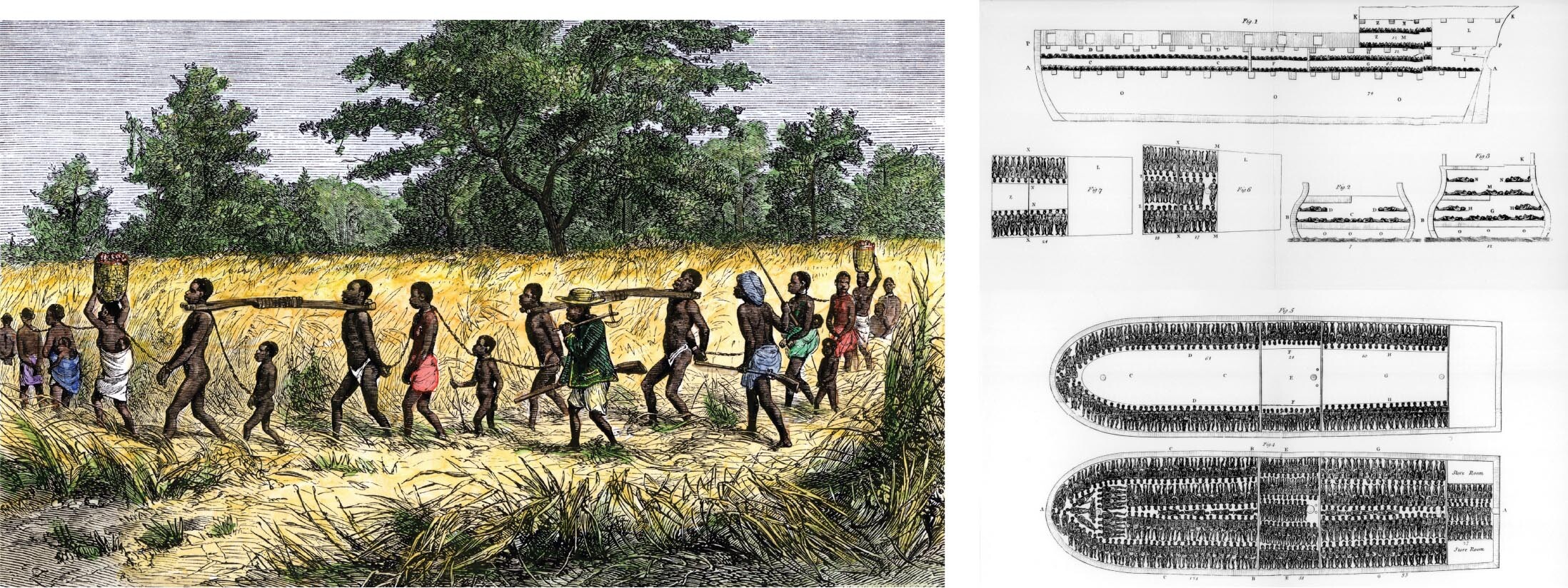 A drawing of captured Africans marching through a field.; A schematic of a slave trade ship.