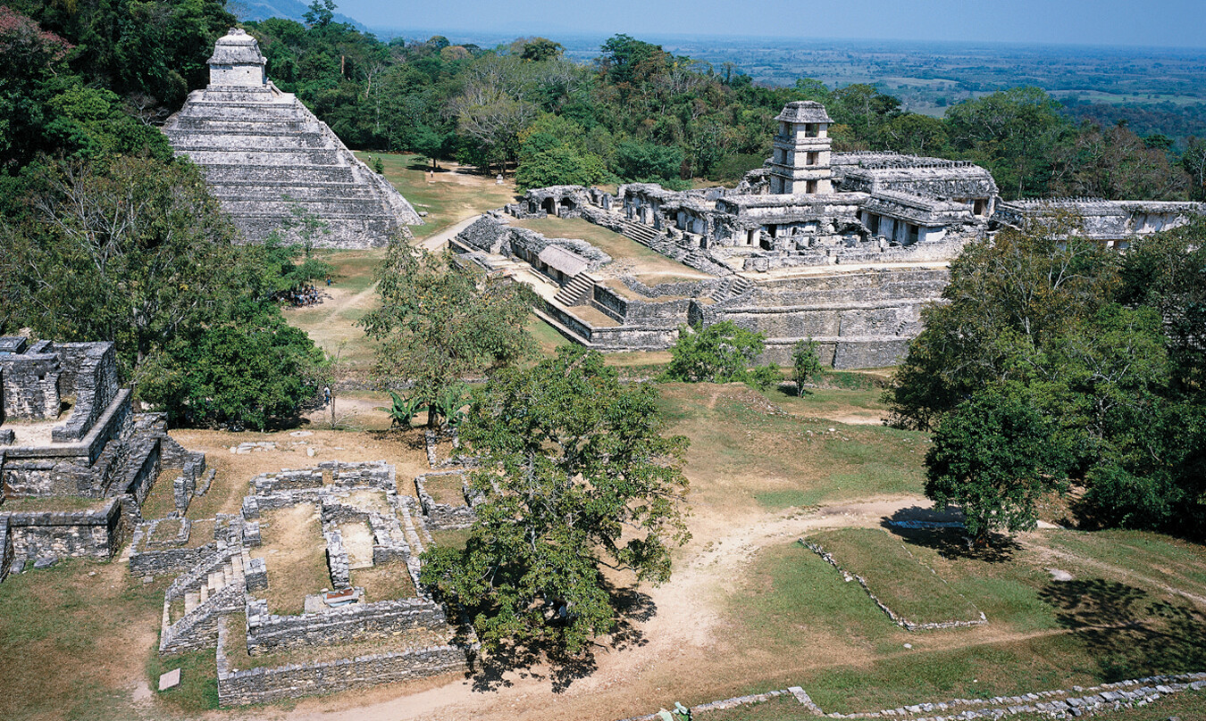 An aerial view of the Maya city of Palenque with a pyramid, palace tower, and stone structures in a forested landscape.
